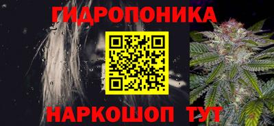 прущие грибы Обнинск