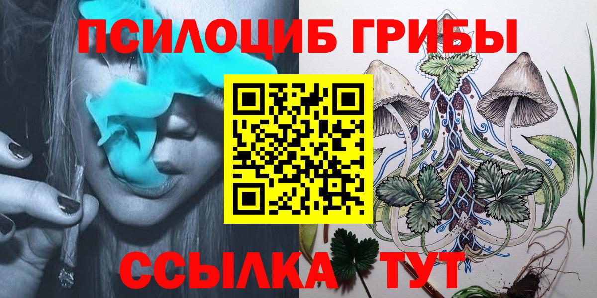 Тула  Галлюциногенные грибы Psilocybine cubensis  хочу наркоту  Вход с VPN 