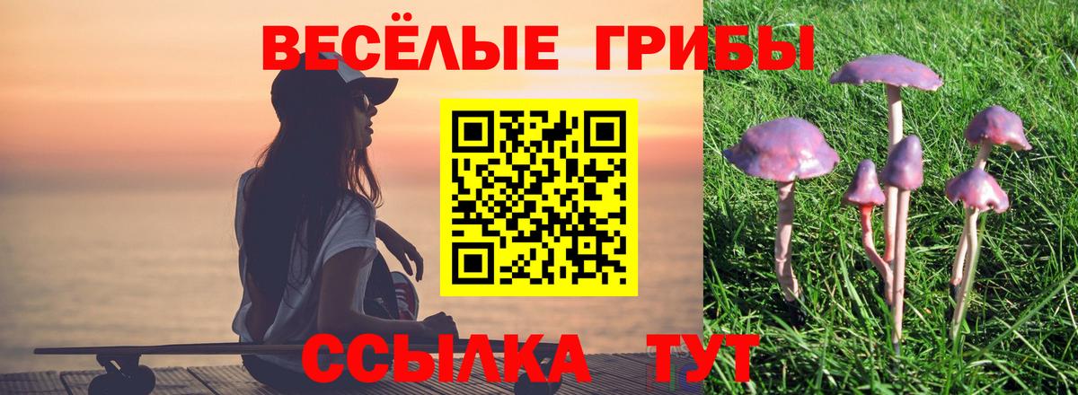 Галлюциногенные грибы Psilocybe Тула
